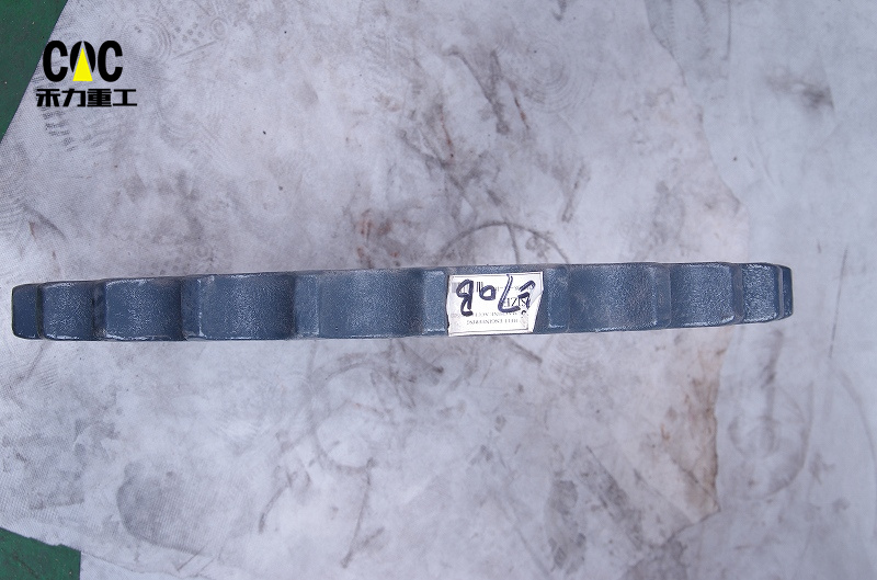 IMGP1715