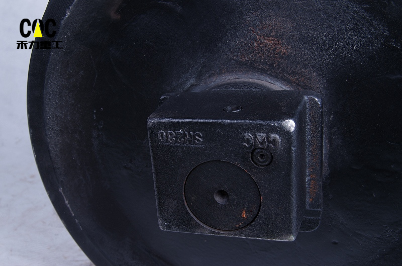 IMGP0560